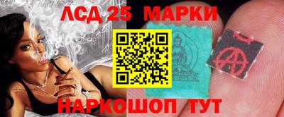 гидропоника Камышлов