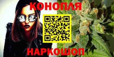 гидропоника Камышлов