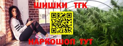 гидропоника Камышлов
