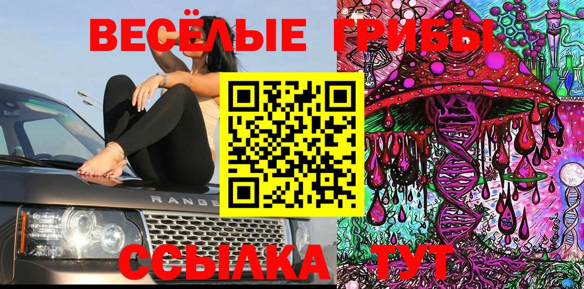 Галлюциногенные грибы Cubensis  Вход с VPN  купить   Псилоцибиновые грибы ЛСД  Краснодар 