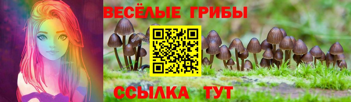 Псилоцибиновые грибы GOLDEN TEACHER Краснодар